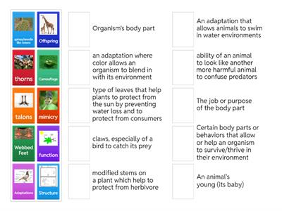 Structures & Functions Vocab