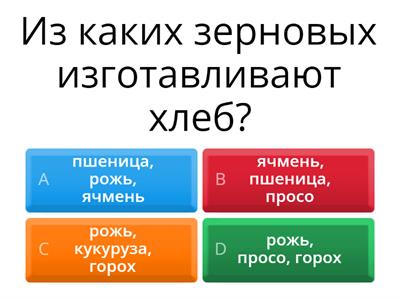 Хлеб всему голова. Викторина