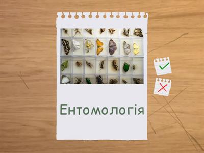 Природничі науки (урок №10)