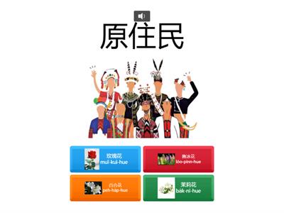 各族群母親節的代表花