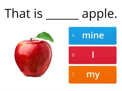 Possessive adjectives and pronouns