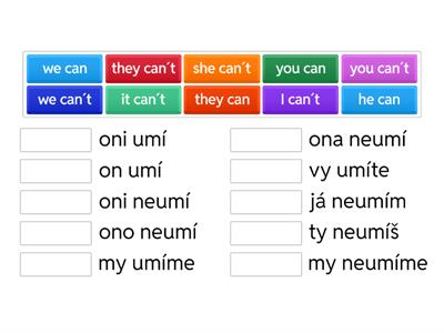  Can/ can´t   translation ( 3rd grade)