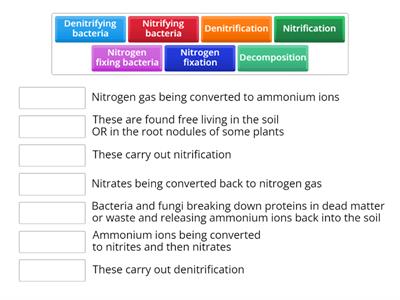 The Nitrogen Cycle