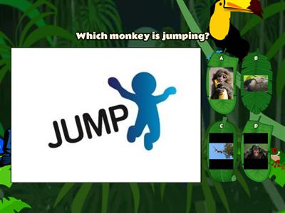 Which monkey?