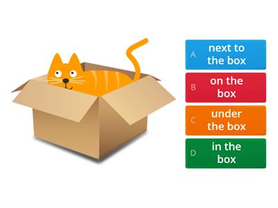 Prepositions: in, on, under, behind, next to, in front of