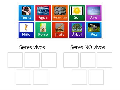 Actividad: Clasificar seres vivos y no vivos