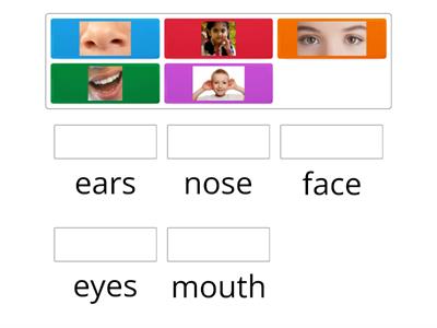 Parts of the face