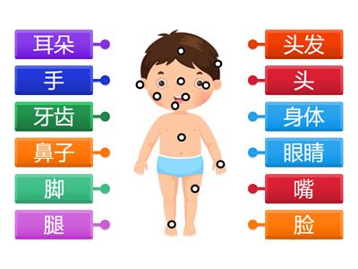  Vocabulário - 身体部分