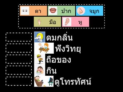 ประสาทสัมผัสทั้ง5