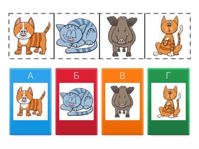  Что лишнее?  Внимание, развитие речи.