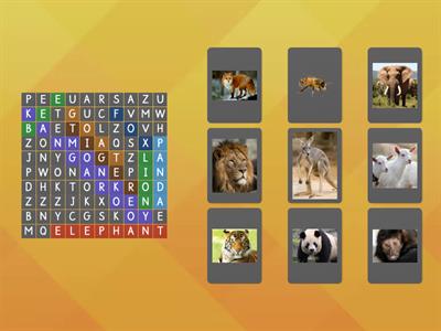 Wild Animals Game