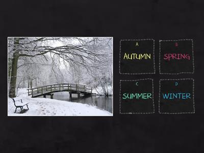 Seasons