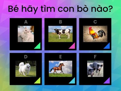 các con vật trong gia đình bé