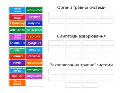 Травна система (лексика)