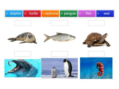 Beehive starter unit 6