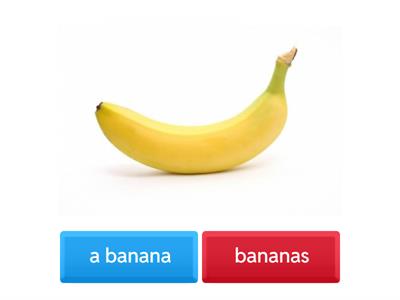 Singular and plural forms