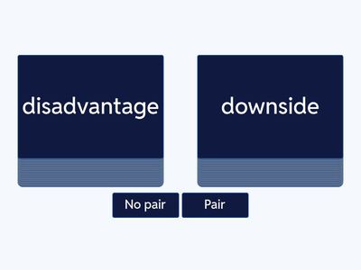 Paris: synonyms, pair or no pair 