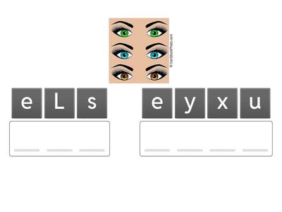 Les parties du corps- Anagram