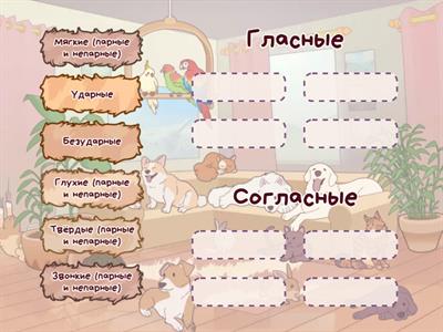 Звуки и буквы