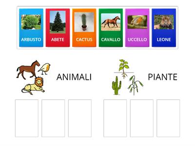 ANIMALI E PIANTE - CLASSIFICAZIONE (Foto) - Difficoltà facile