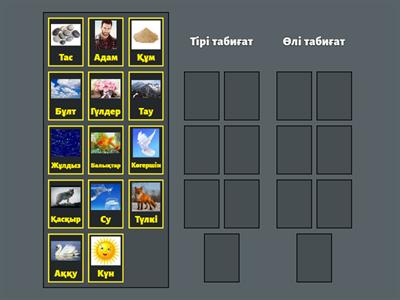 Олар қызды порноға түсірді