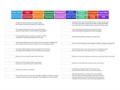Energy Flow in Ecosystems