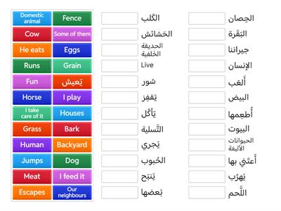 Year 3 - الحيوانات الأليفه