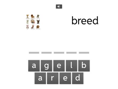 3rd | Spelling | CKLA | 4.10.1 