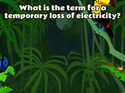 8-1-12_Urban Environment Vocabulary Quiz