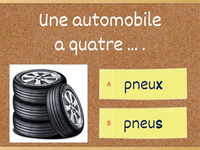 Pluriel des noms en français - Les cas particuliers (débutants/intermédiaires)