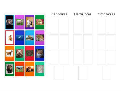 Carnivores herbivores and omnivores