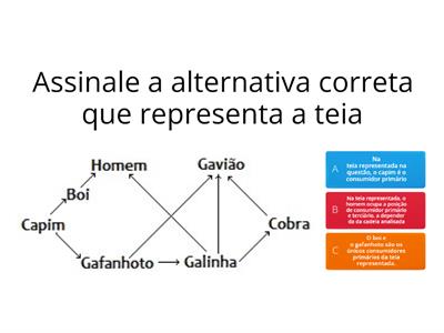 CLASSIFICAÇÃO DOS SERES VIVOS.