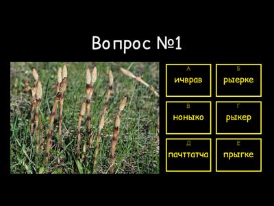 Викторина на 8 марта