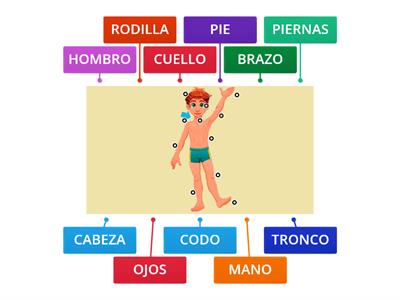  PARTES DEL CUERPO 