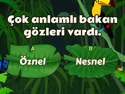 öznel- nesnel