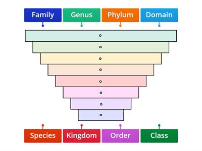 Taxonomic Levels