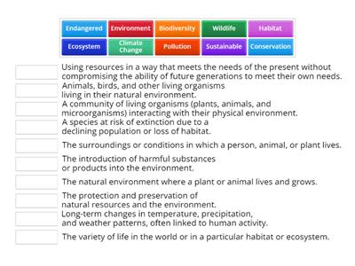 B3-B4 CNV Nature and Environment