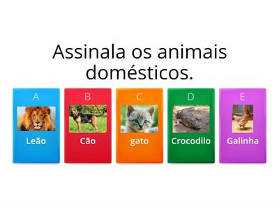 Os animais