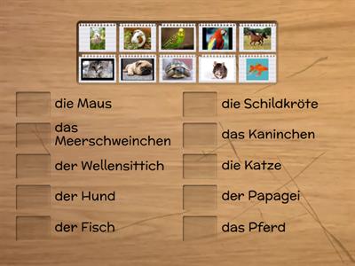 Paul, Lisa und Co, Tiere