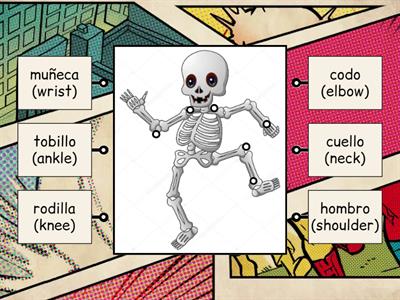 Articulaciones (joints)