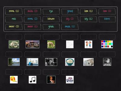 Homonieme en Homofone