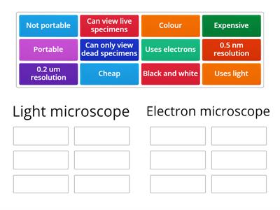 Electron vs light microscope