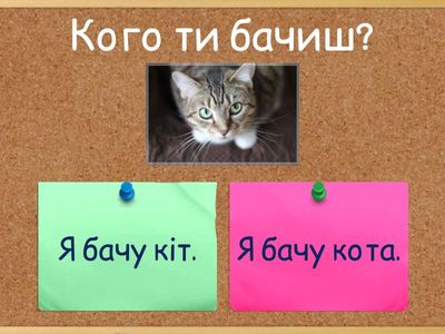 Вправа 3 - запитання - відповідь