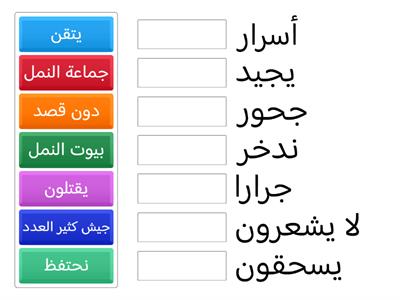 اللغة العربية