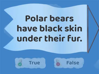 (Red) Polar Bear Facts - True or False