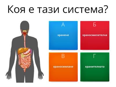 5 клас - Храносмилателна система при човека