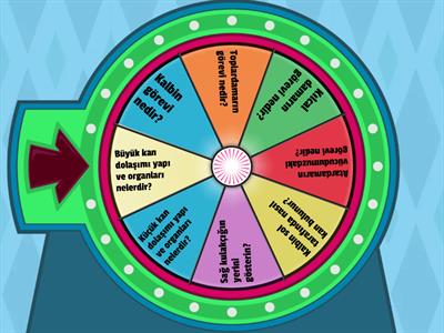 Çark çevirme dolaşımı kopyası