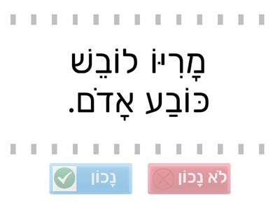 סופר מריו-נכון או לא נכון