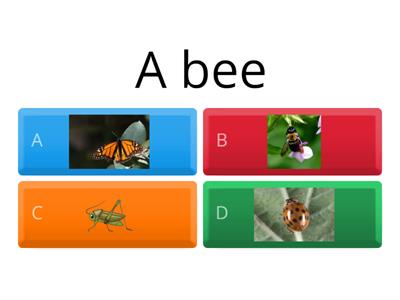 Oxford discover 3 unit 5 insects 