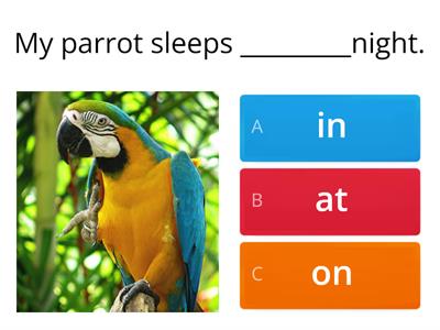 PREPOSITIONS OF TIME ON/AT/IN 